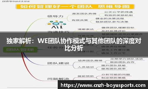 独家解析：WE团队协作模式与其他团队的深度对比分析